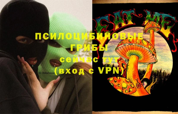 гашик Абинск