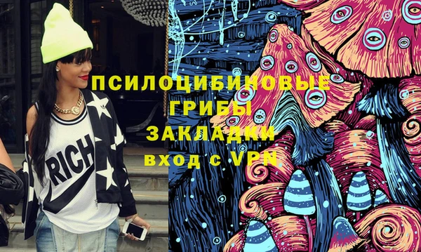 дмт Алзамай